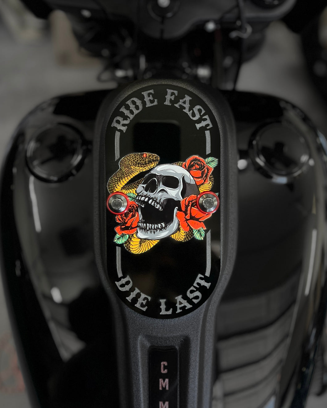 Full Color Ride Fast Die Last Dyna & Softail Low Rider Dash Gauge Blockoff Plate